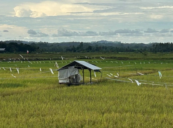 Desa Segihan Maksimalkan Lumbung Pangan untuk Stabilitas Harga dan Ketahanan Pangan